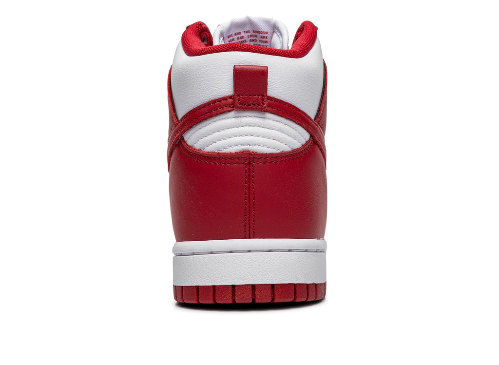 Nike Dunk High Retro SE