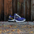 Mens Saucony ProGrid Triumph 4  (Purple/Gold)