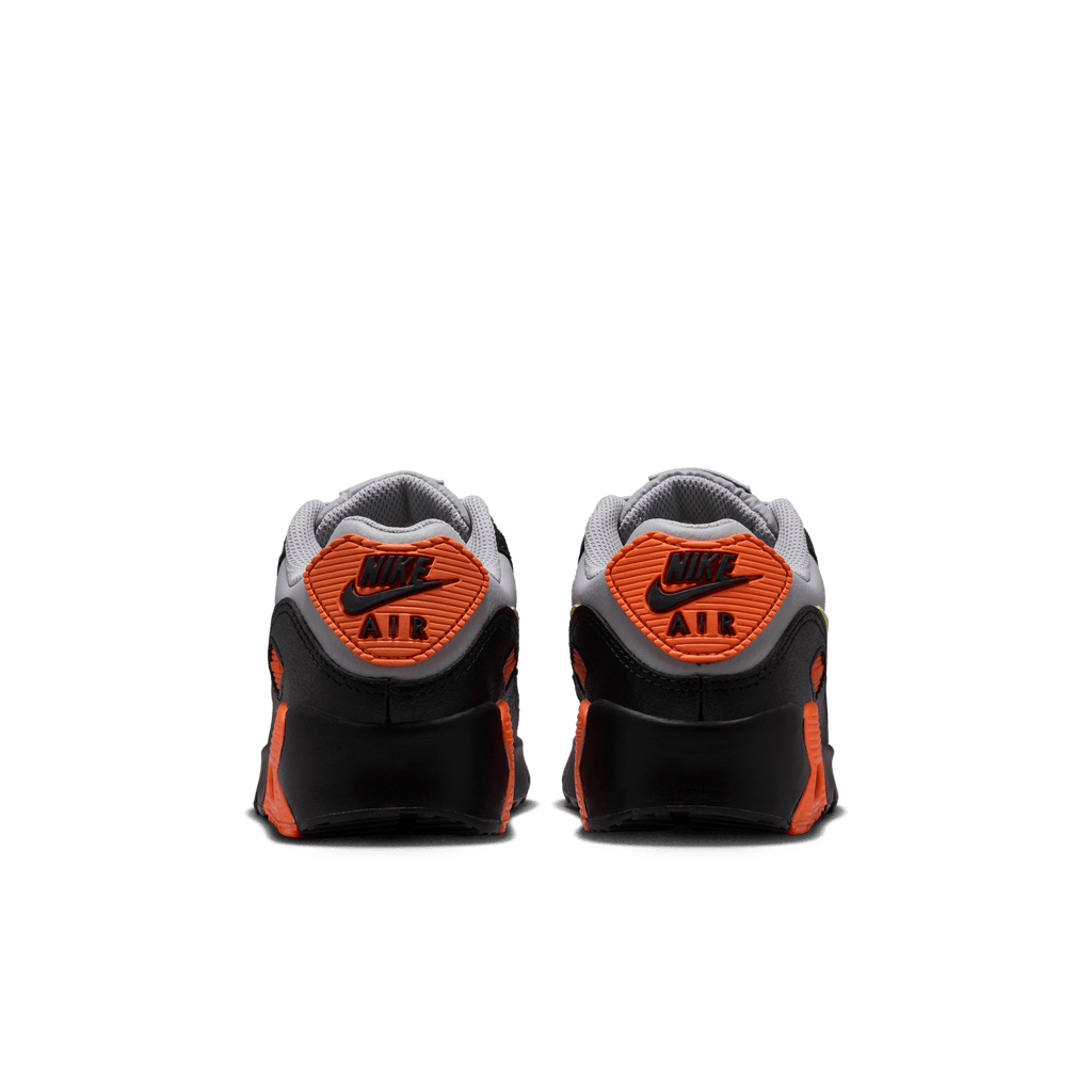 Big Kids’ Nike Air Max 90 LTR