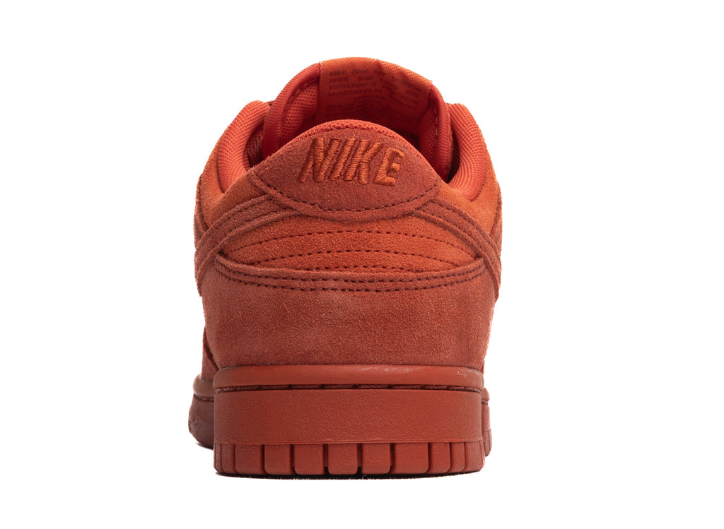 Women's Nike Dunk Low SE