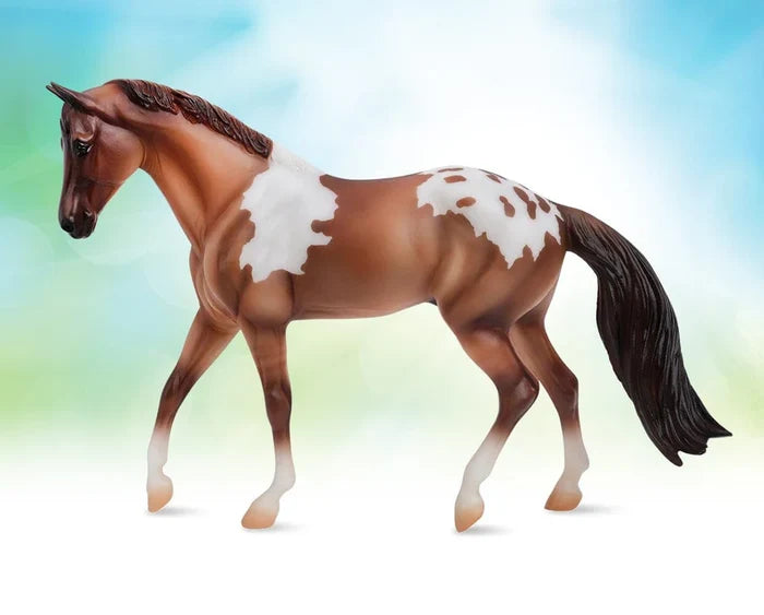 Freedom Series Red Dun Pintaloosa