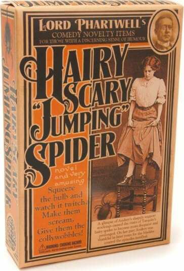 Hairy Scary Jumping Spider