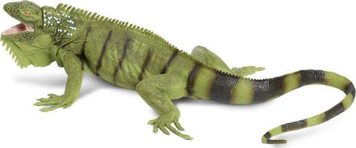 Iguana Toy
