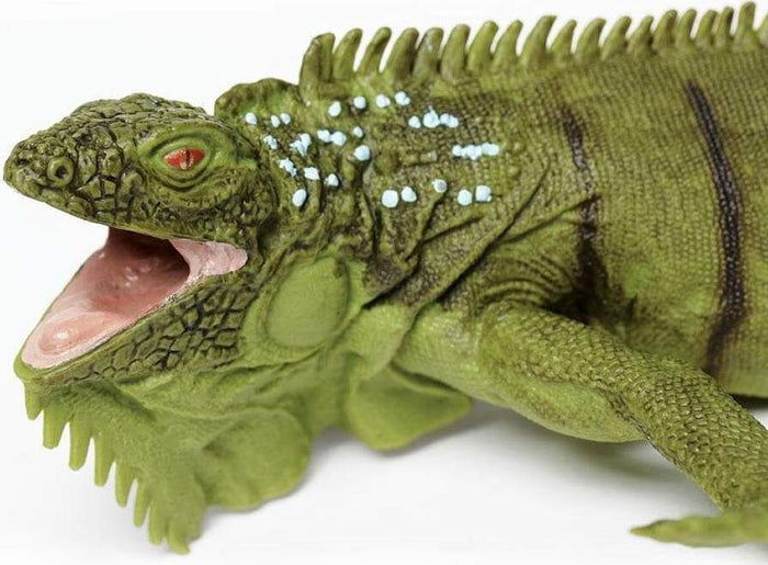 Iguana Toy
