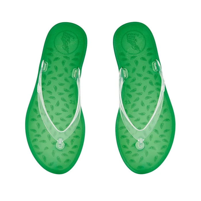 Jelly Flip Flop Clear/Green