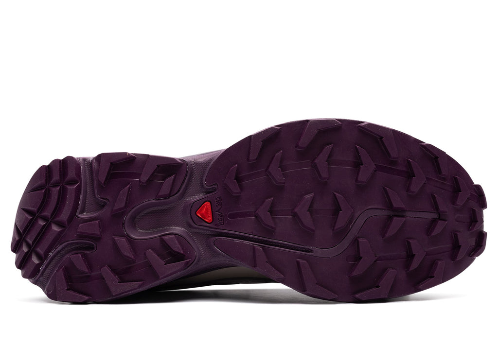 Salomon XT-6 in Paloma / Winter Bloom
