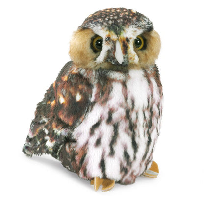 Pygmy Owl