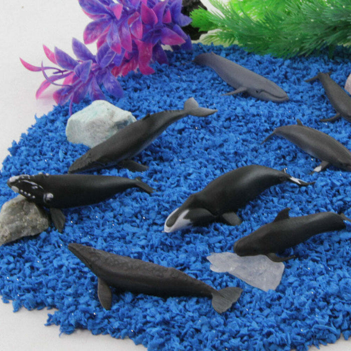 Whales TOOB®